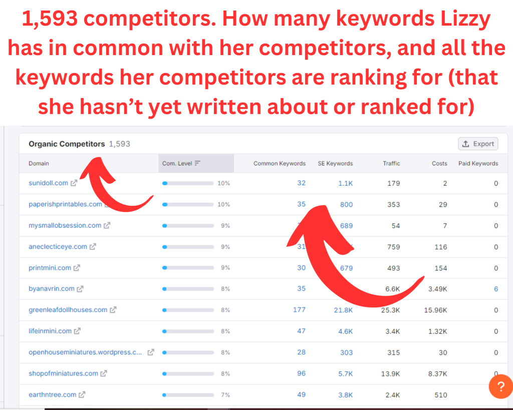 List if 1,593 websites that are considered Lizzy's "competitors"