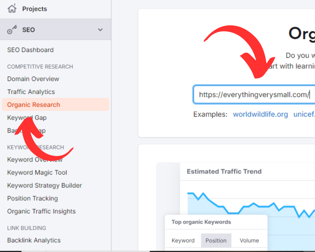 Click on "Organic Research" on left-hand side and put domain name into the search bar